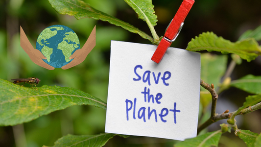 Bidet Sprayers and Water Conservation: How They Can Help Save the Planet