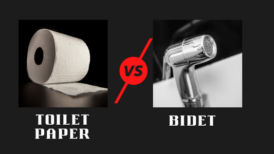 Toilet Paper Vs Bidet