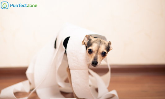 Problems with toilet paper