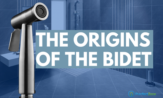 The Origins of the Bidet
