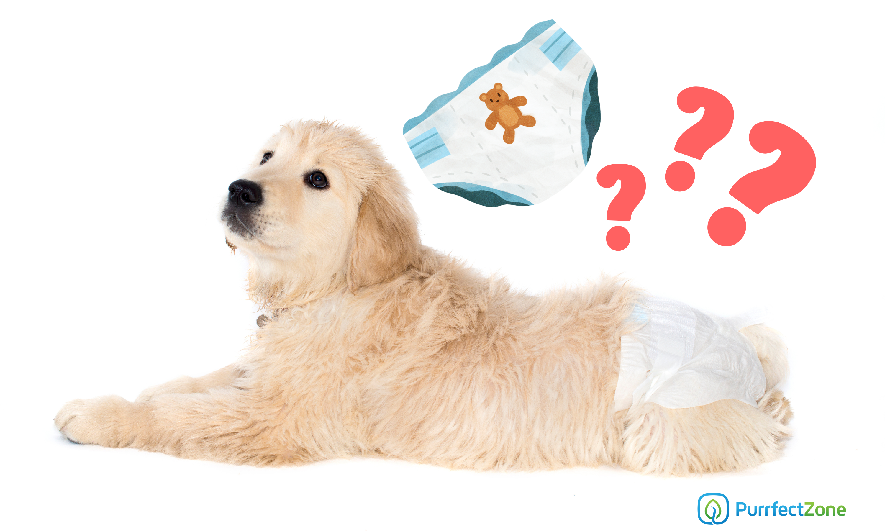 Pros and Cons of Dog Diapers Purrfectzone