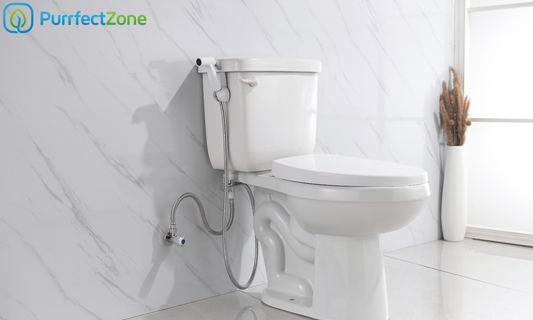 Give Your Bathroom an Upgrade with a Bidet Sprayer