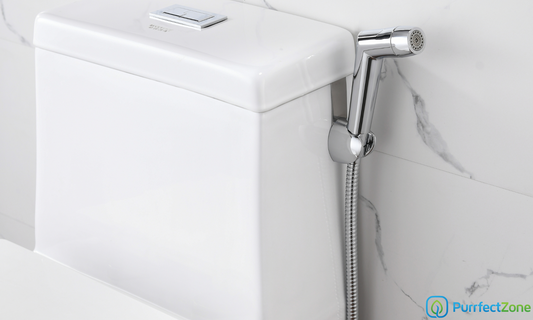 Top 5 Reasons Why You Need a Bidet Sprayer