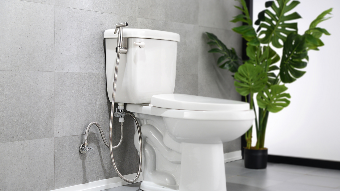 The Bidet Experience: What to Expect When You Make the Switch
