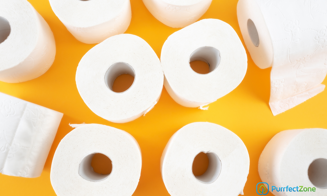 Why You Should Stop Using Toilet Paper